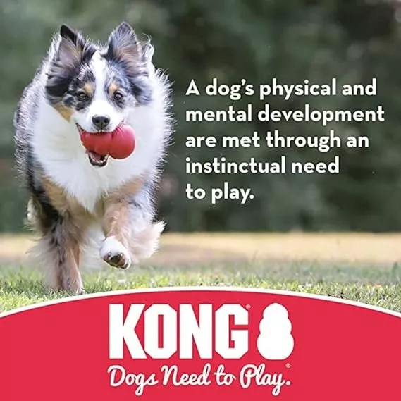 Tug Toy - 🐶 Fuerza, Diversión y Vínculo en Cada Mordida 💪🎾 - Imagen 4