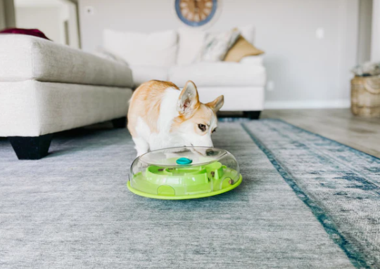 Nina Ottosson Wobble Bowl – Ralentiza la comida, estimula la mente y combate el aburrimiento 🐶🧠🍽️ - Imagen 2