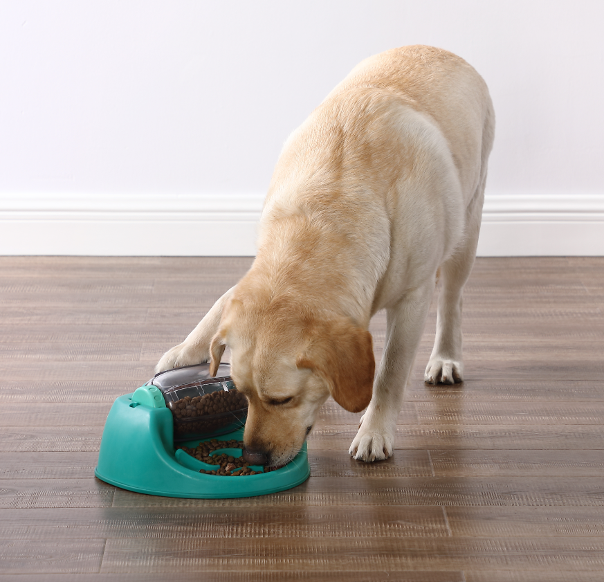 Dog Spin N' Eat – Tómbola Comedero y Estimulación Mental para