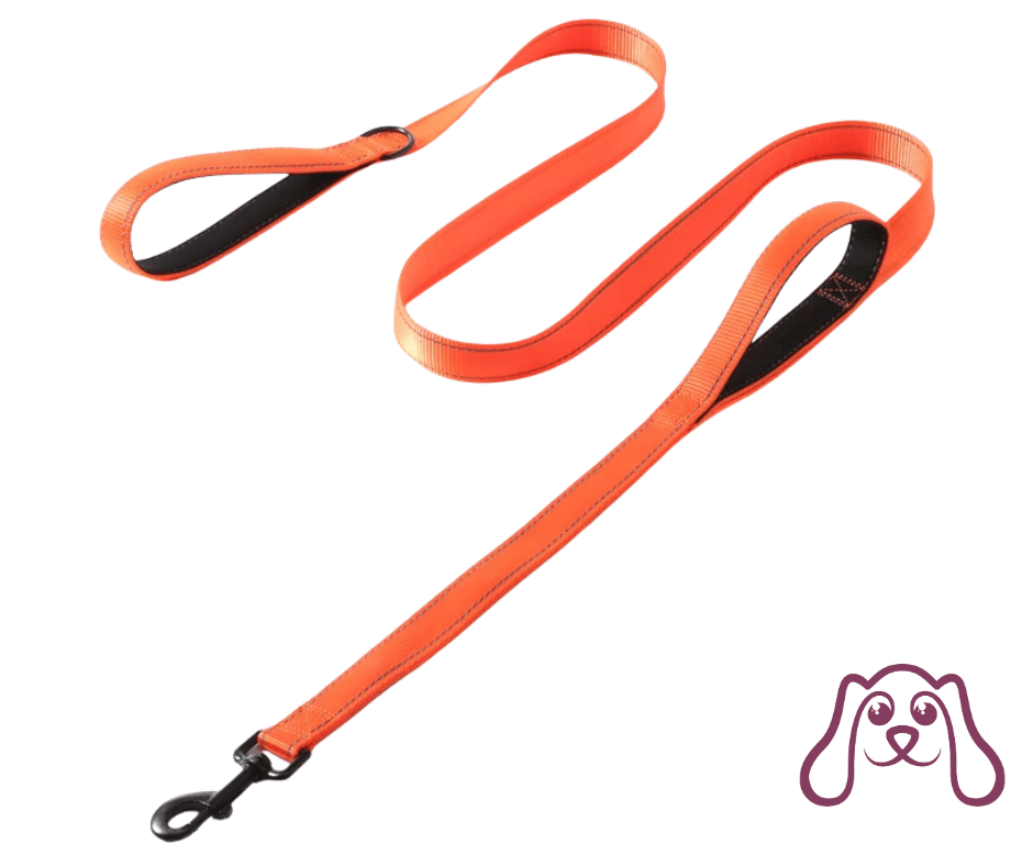 Correa Doble Asa para Perros – Control, Seguridad y Comodidad en Cada Paseo