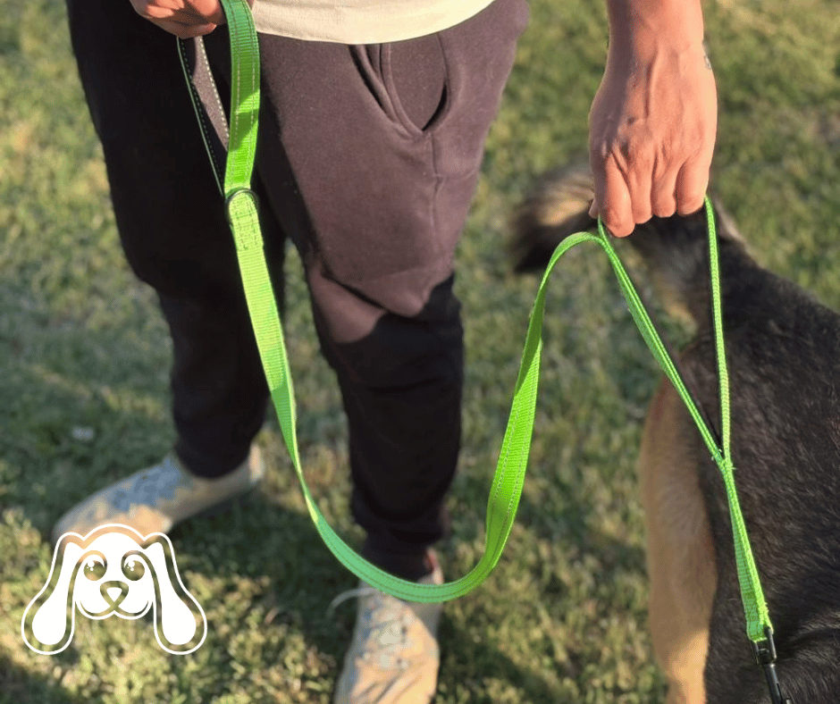 Correa Doble Asa para Perros – Control, Seguridad y Comodidad en Cada Paseo - Imagen 2