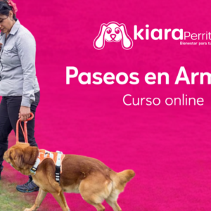 🐾 Curso online de paseo con correa – Paseos en Armonía